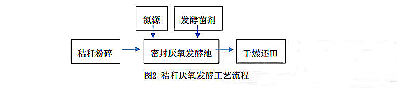 厌氧发酵